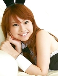 Chinatsu Sasaki bunny has sexy legs in fishnet stockings Chinatsu Sasaki bunny has sexy legs in fishnet stockings